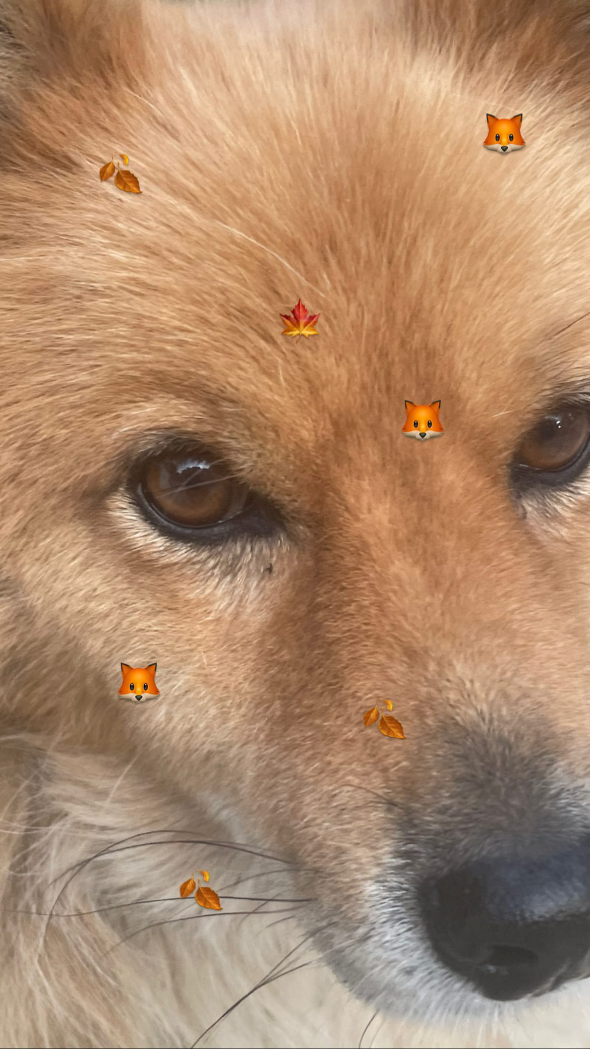 はじめまして！