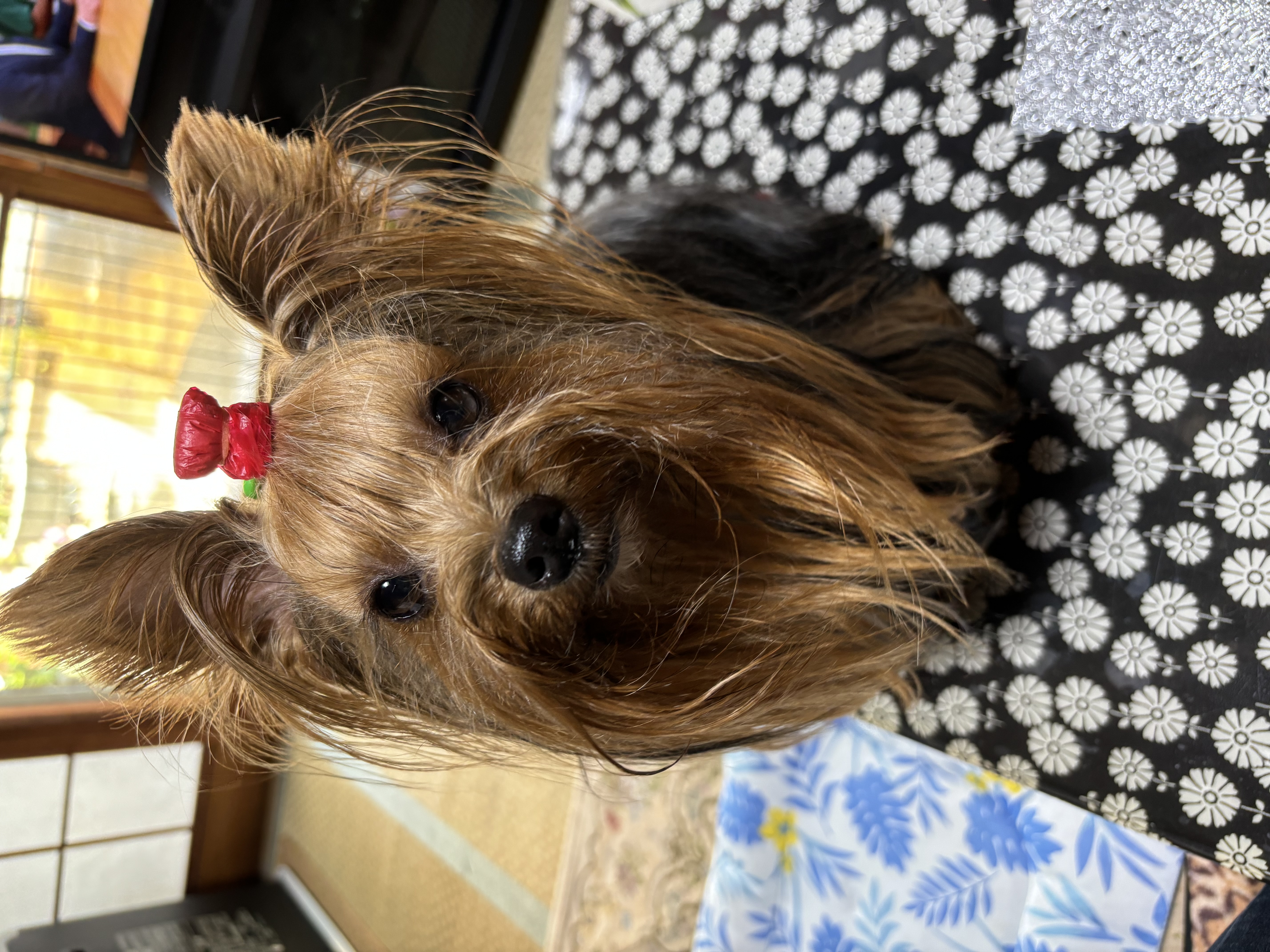 もうすぐ春が来るかな？