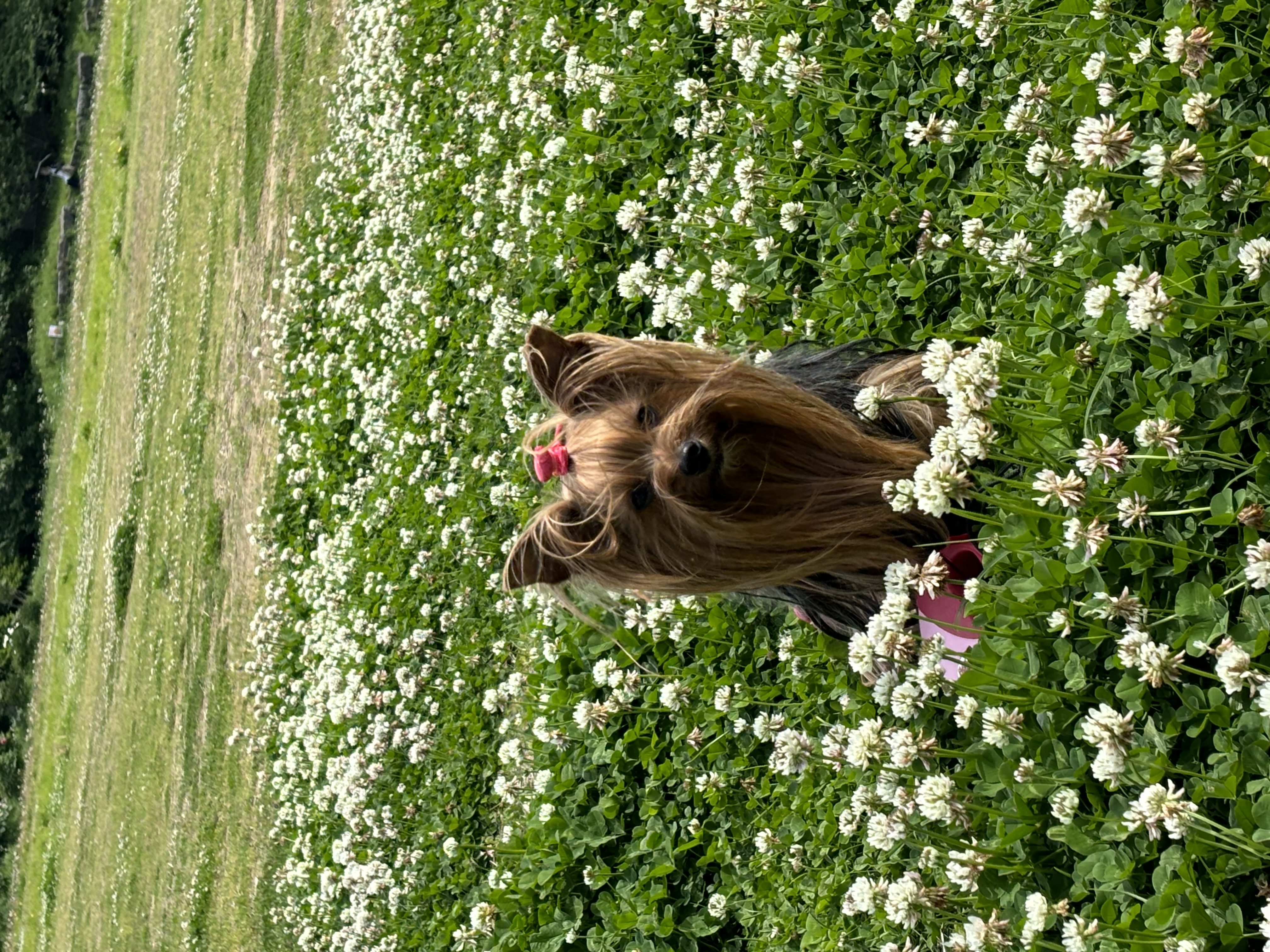 暑さに気をつけて…。