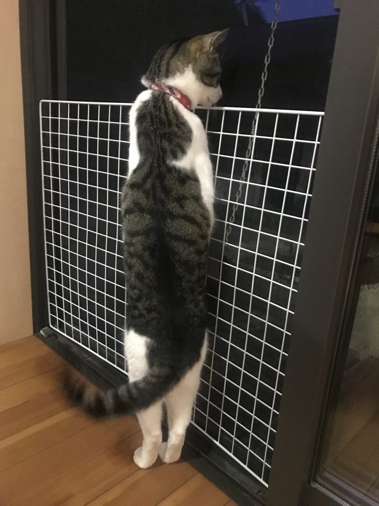 ?夏までもう少し?