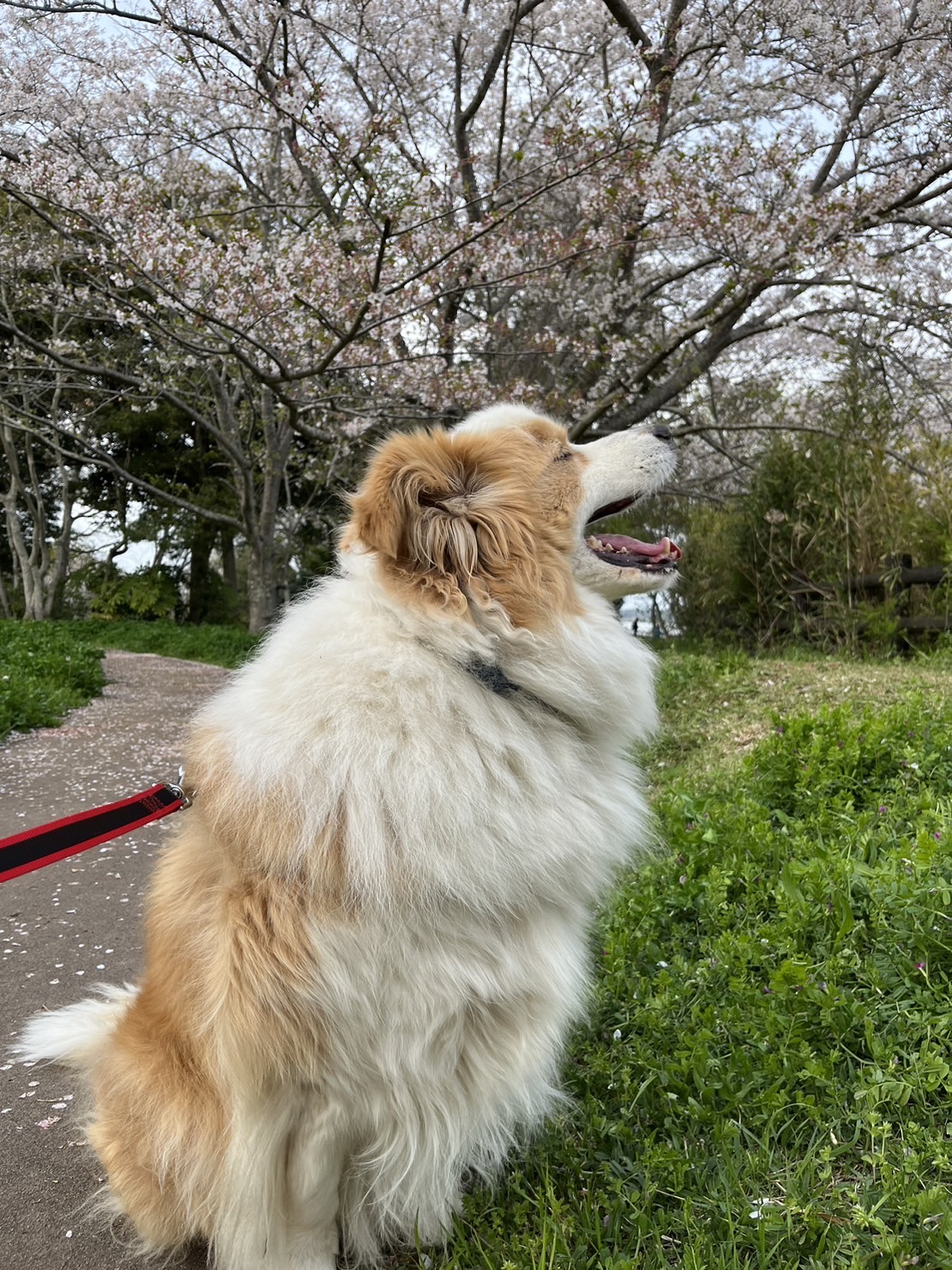 休日のお出かけ👜