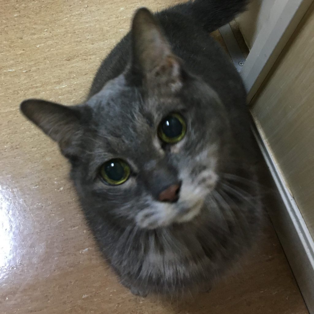 初めまして!