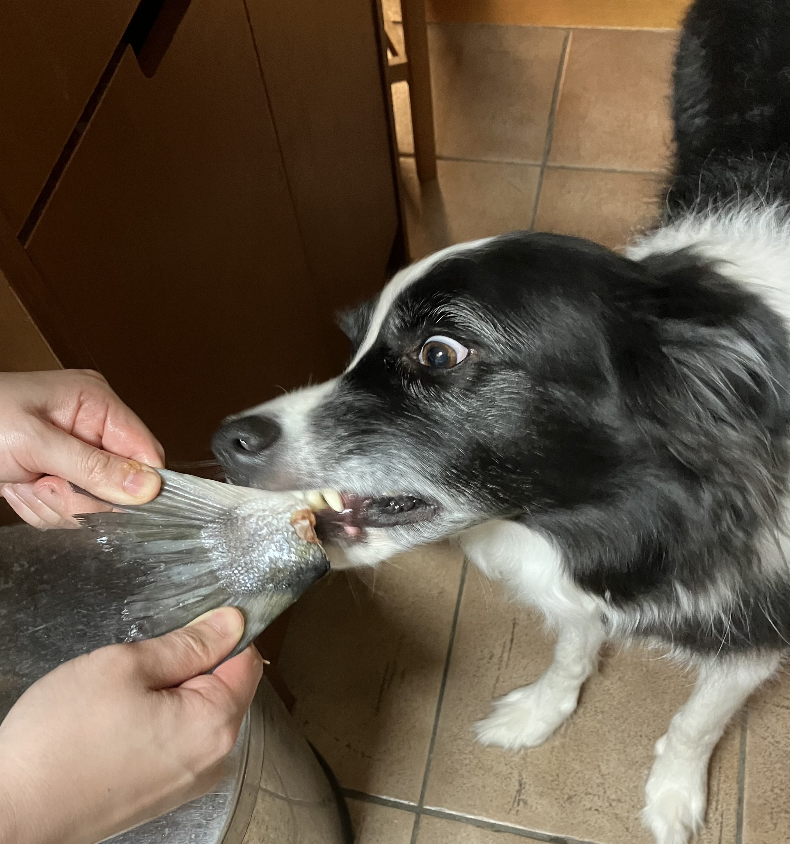 やっと涼しくなってきましたね🍁