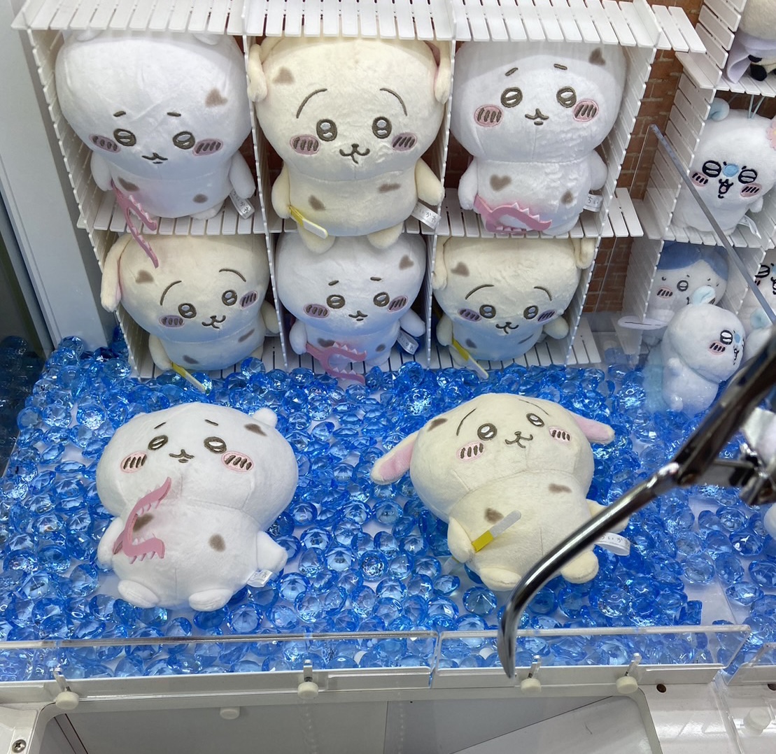 秋になりました！