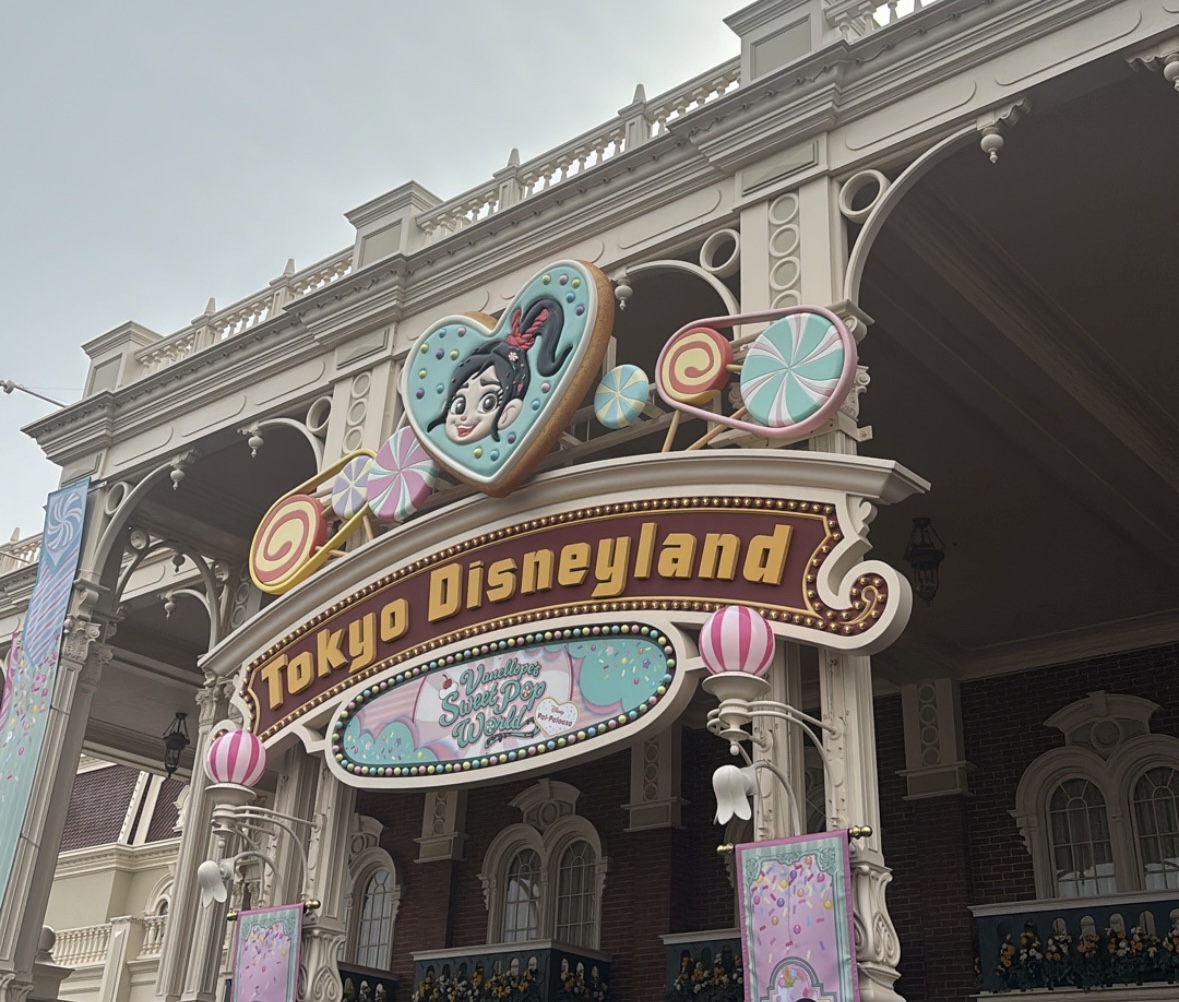 やっと春が来ました🌷