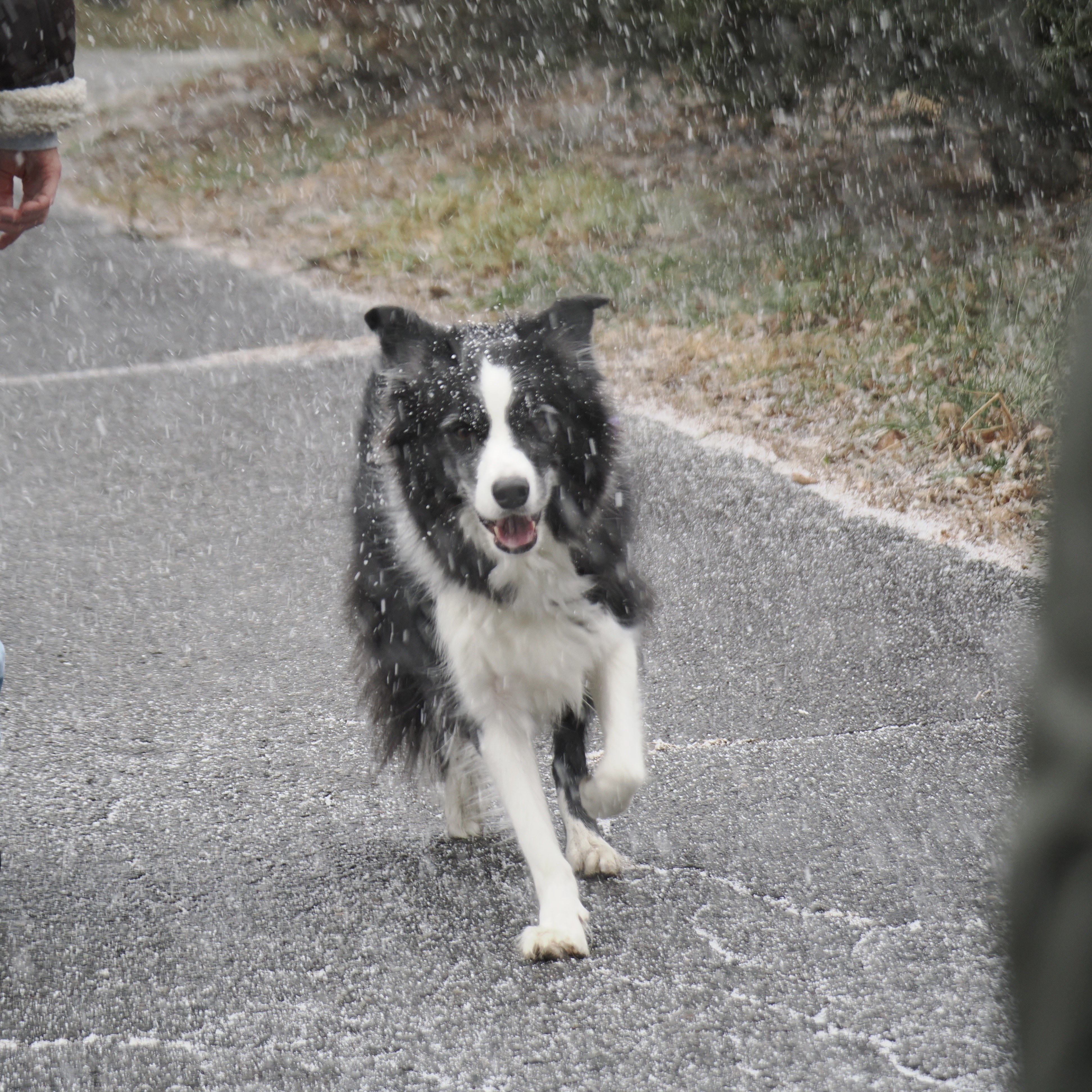 🎍あけましておめでとうございます🌄