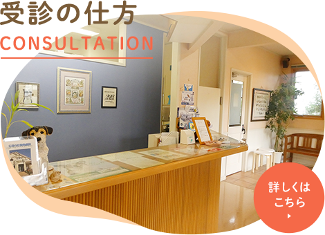 受診の仕方 CONSULTATION