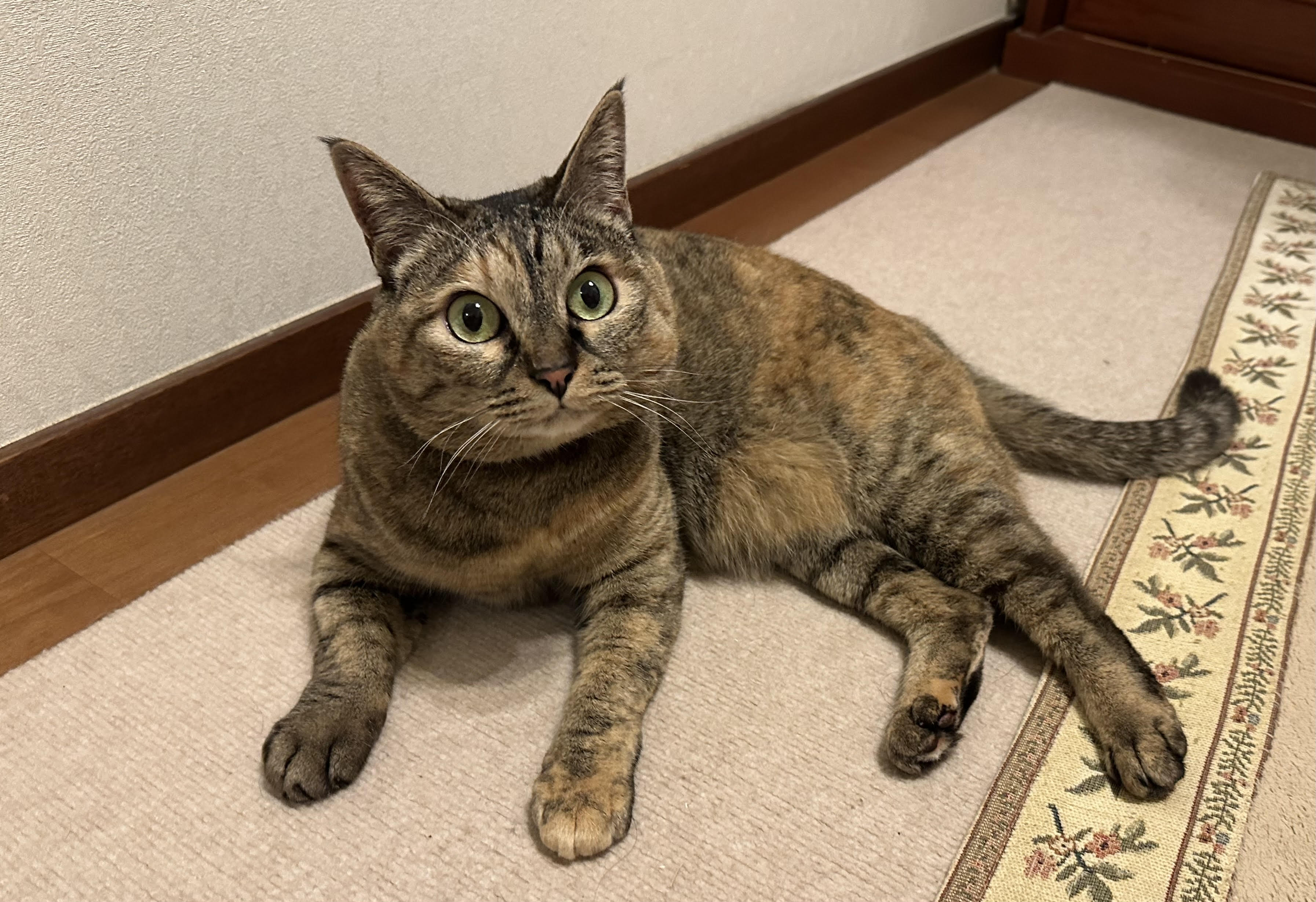 暑い日々の始まりです😅