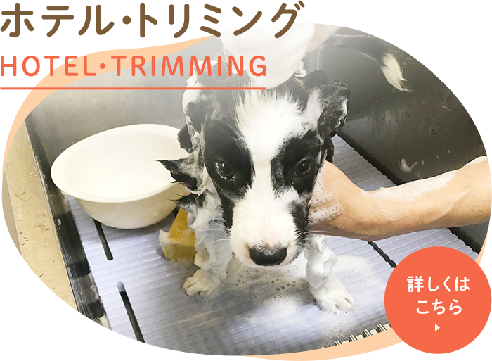 ホテル・トリミング HOTEL・TRIMMING